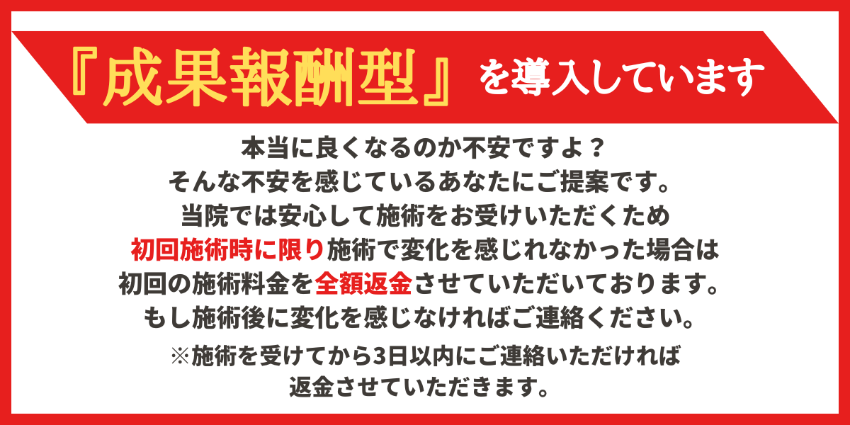 成果報酬型導入の説明